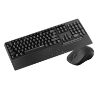 RAPOO X1960 Wireless Mouse and Keyboard Combo with Palm Res -1000DPI Wireless 2.4G 10m Range Spill Resistant Plug-and-Play
