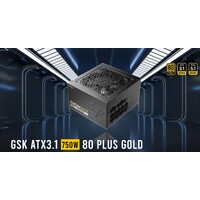 Antec GSK750 80 Gold Fully Modular ATX 3.1 PCI-E 5.1 latest High Quality Japanese Capacitors Ultimate performance and reliability PSU